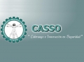 CASSO Consulting